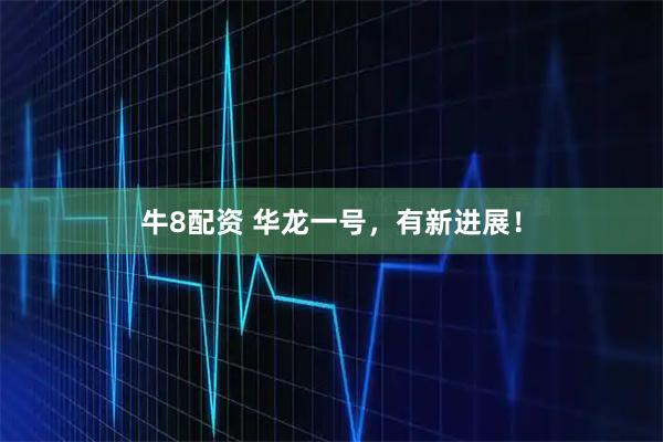 牛8配资 华龙一号，有新进展！