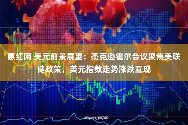 惠红网 美元前景展望：杰克逊霍尔会议聚焦美联储政策，美元指数走势涨跌互现