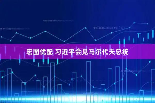 宏图优配 习近平会见马尔代夫总统