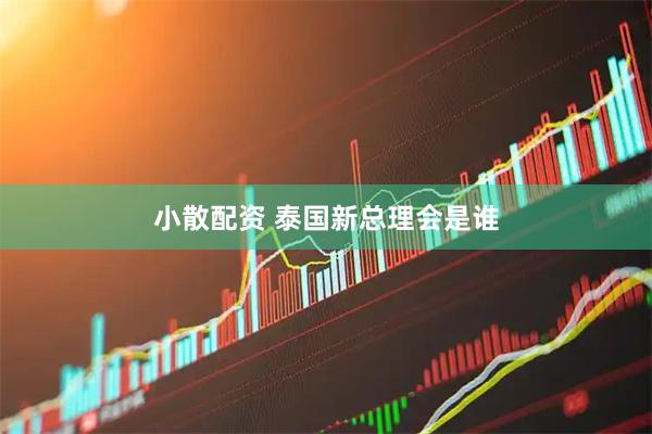 小散配资 泰国新总理会是谁