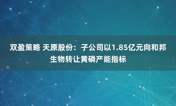 双盈策略 天原股份：子公司以1.85亿元向和邦生物转让黄磷产能指标